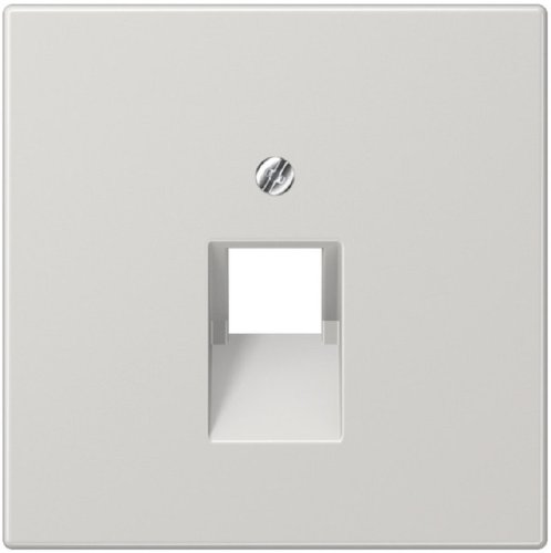 Лицевая панель Jung LS990 для 1-м. розетки RJ11/RJ45 серый фото Лицевая панель Jung LS990 для 1-м. розетки RJ11/RJ45 серый картинка